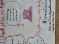 husmentes-3